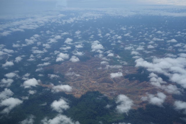 Deforestation in Borneo, Indonesia